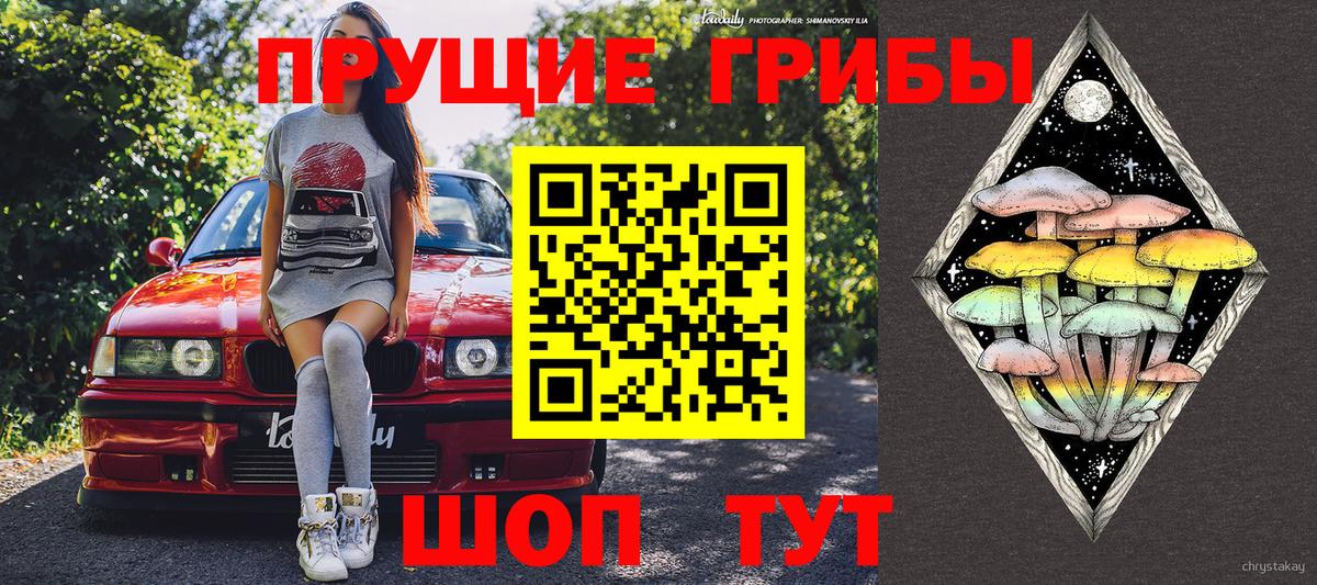 Курчалой  Галлюциногенные грибы мицелий  Вход с VPN 